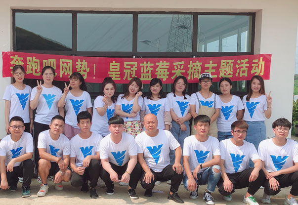 【奔跑吧網勢！】藍莓采摘主題團建活動