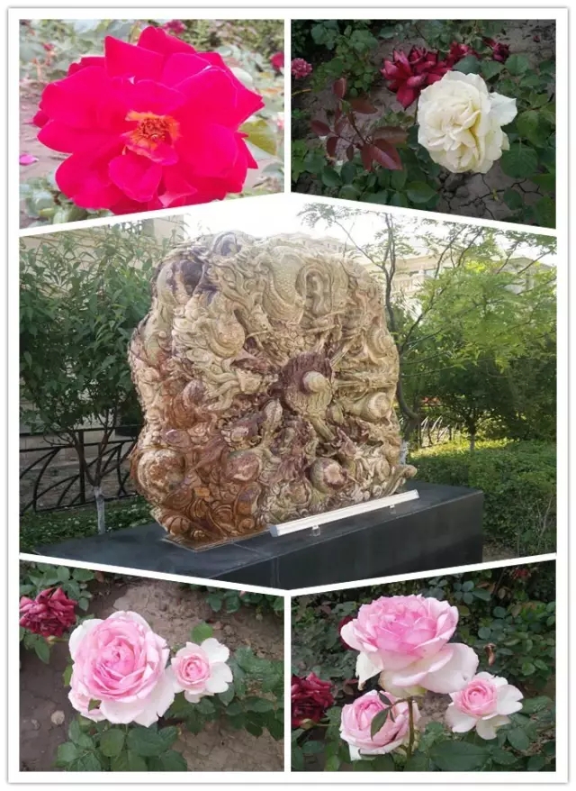 網(wǎng)勢(shì)科技6周歲生日快樂！